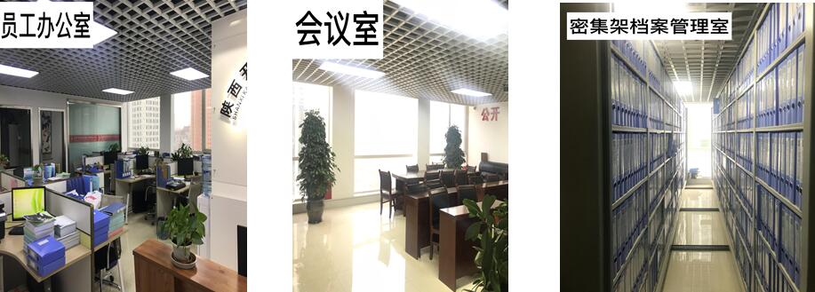 分支機構(圖1)