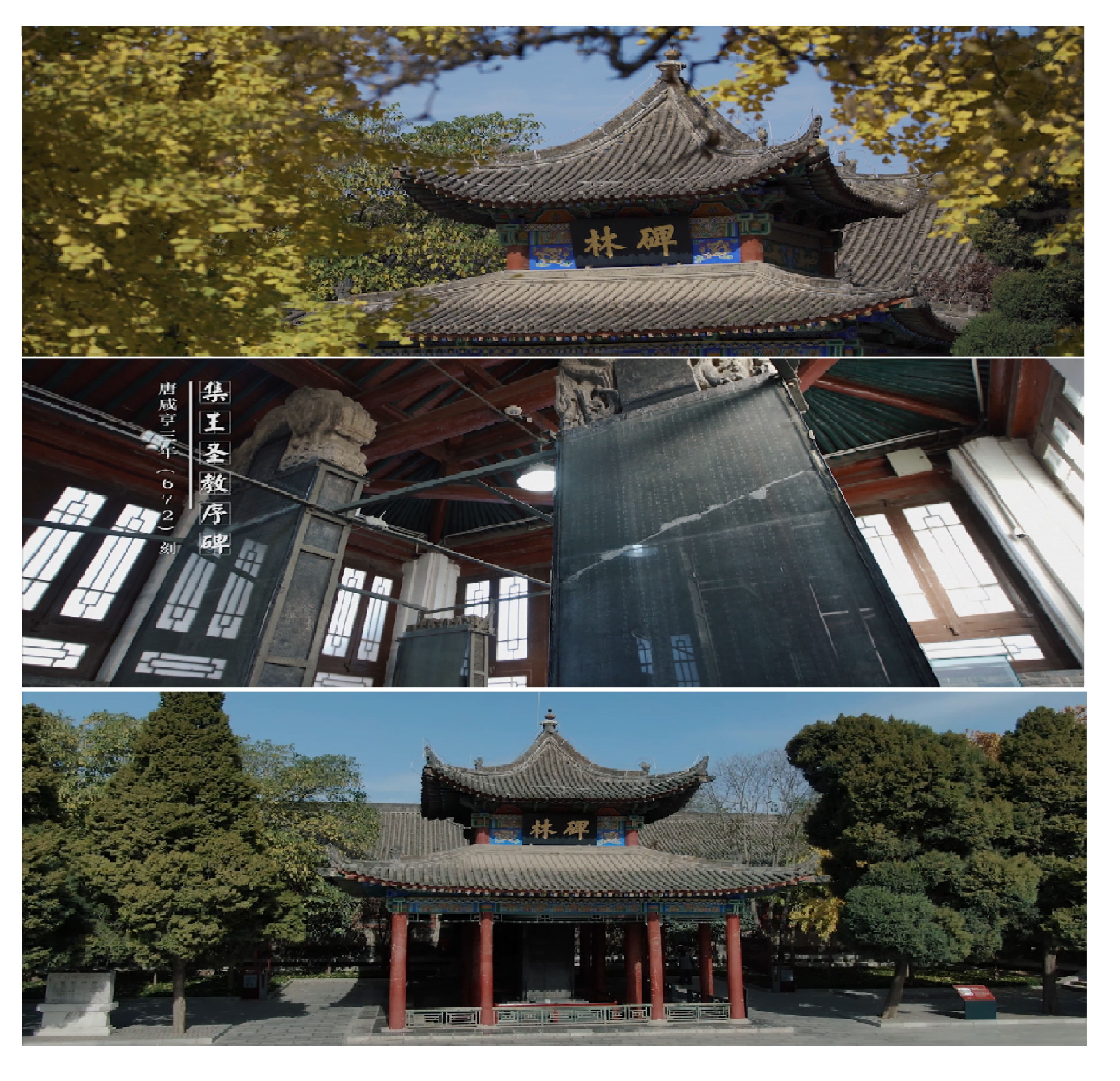 西安碑林博物館改擴建紀(jì)錄片拍攝制作及宣傳服務(wù)項目